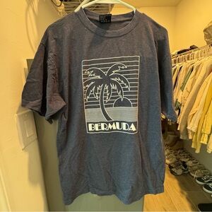 Blue/Grey Graphic T-Shirt